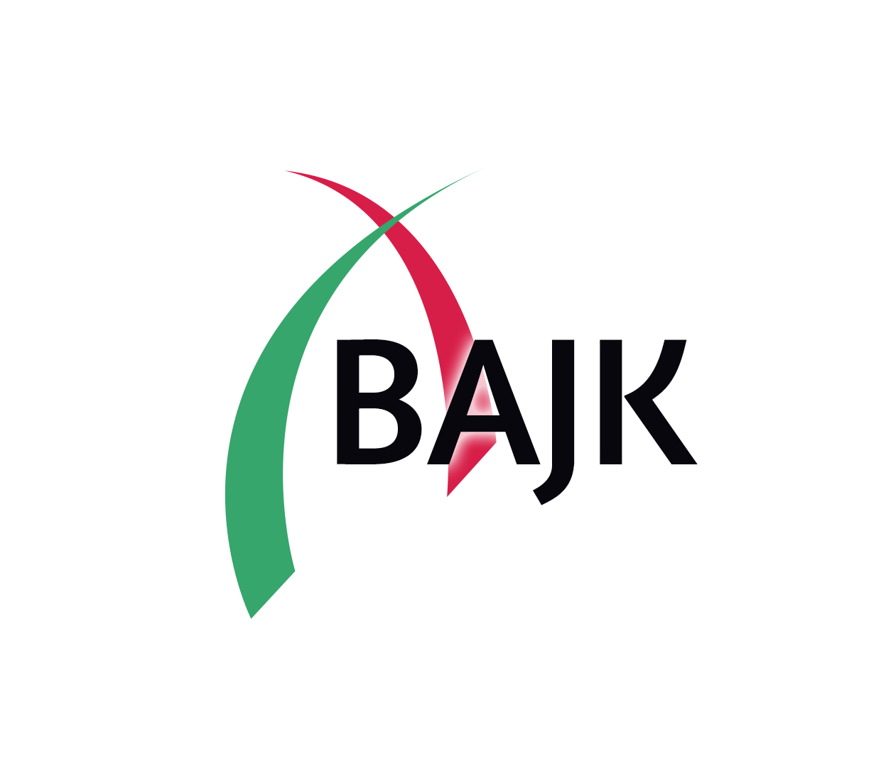 logo BAJK 2024 logo BAJK 2024