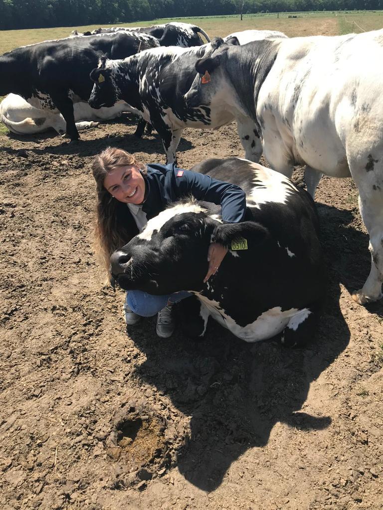 wvoe vlees1 wvoe vlees1