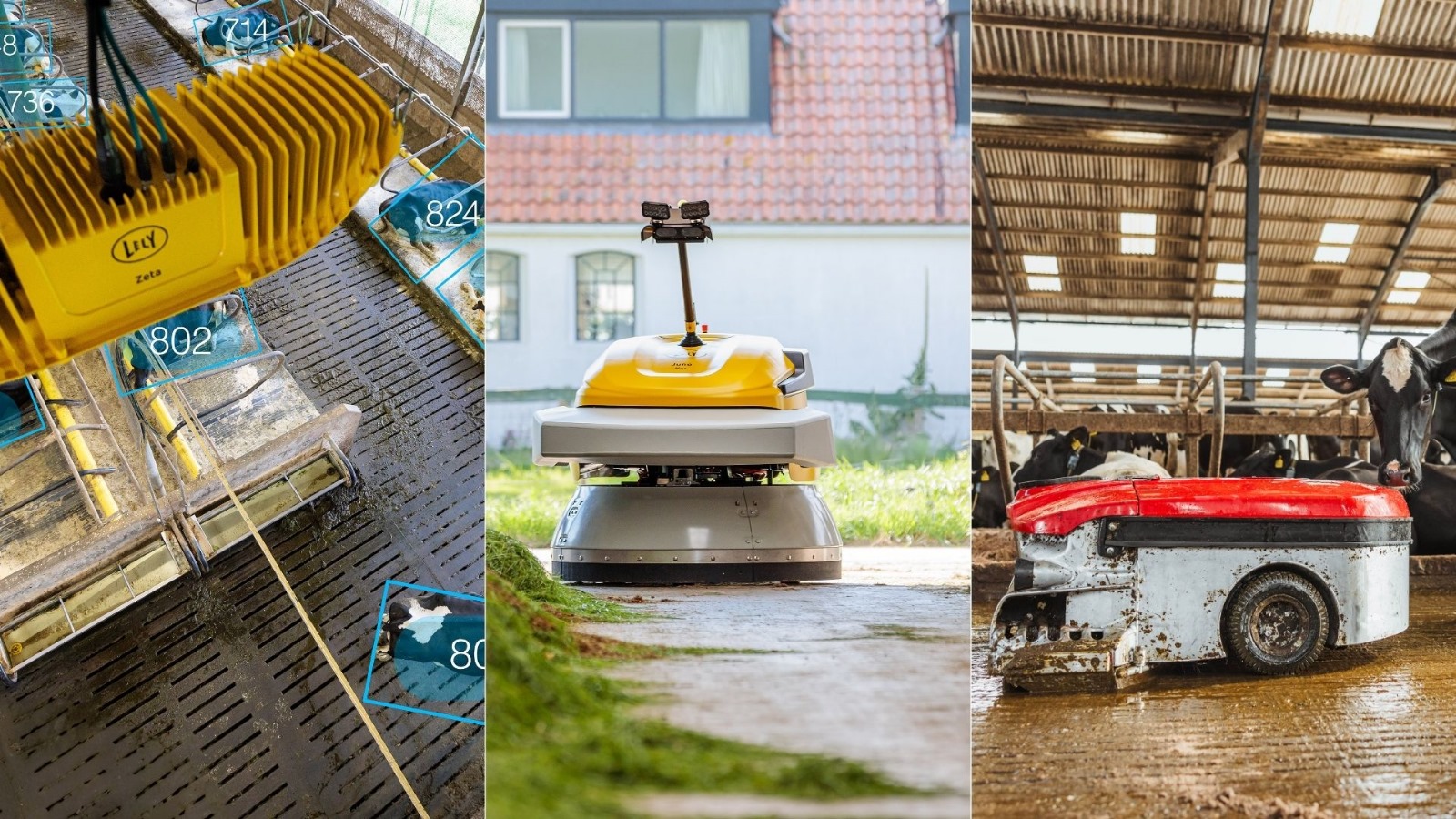 Afbeelding BAJK Lely aan het woord Afbeelding BAJK Lely aan het woord