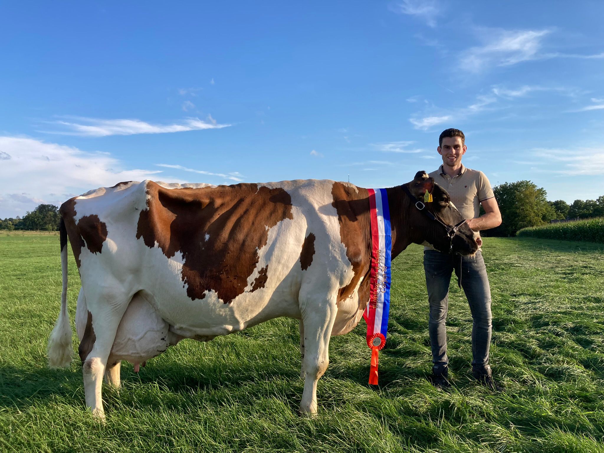 koen verbeek koen verbeek