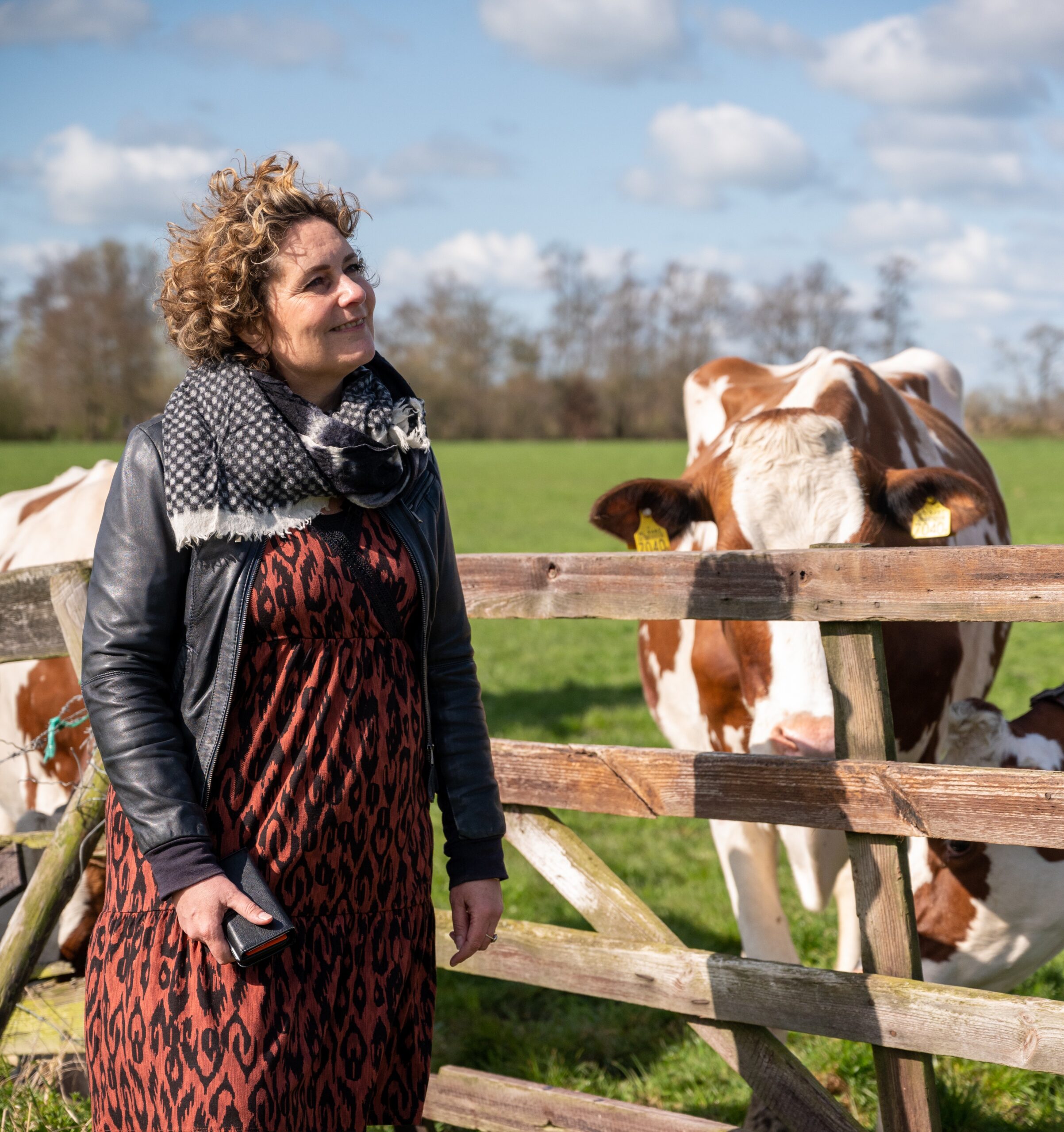 nieuws 6-3 BP nieuws 6-3 BP