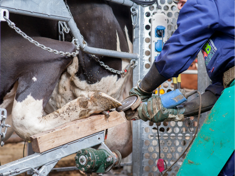 pahw ab 8-5 pahw ab 8-5