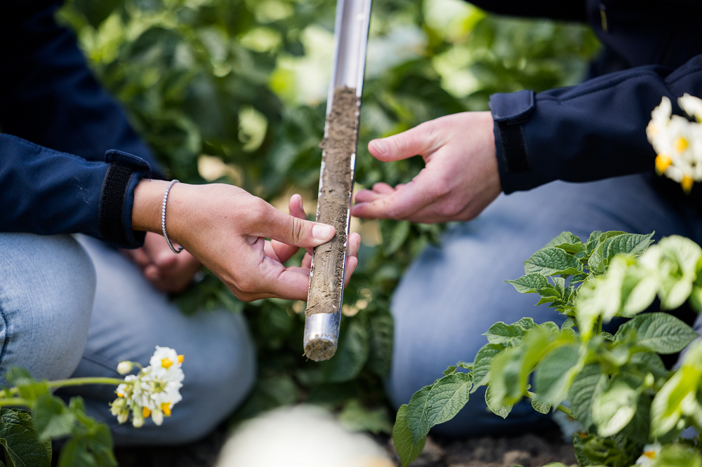 BodemUP-afbeelding_klein BodemUP-afbeelding_klein