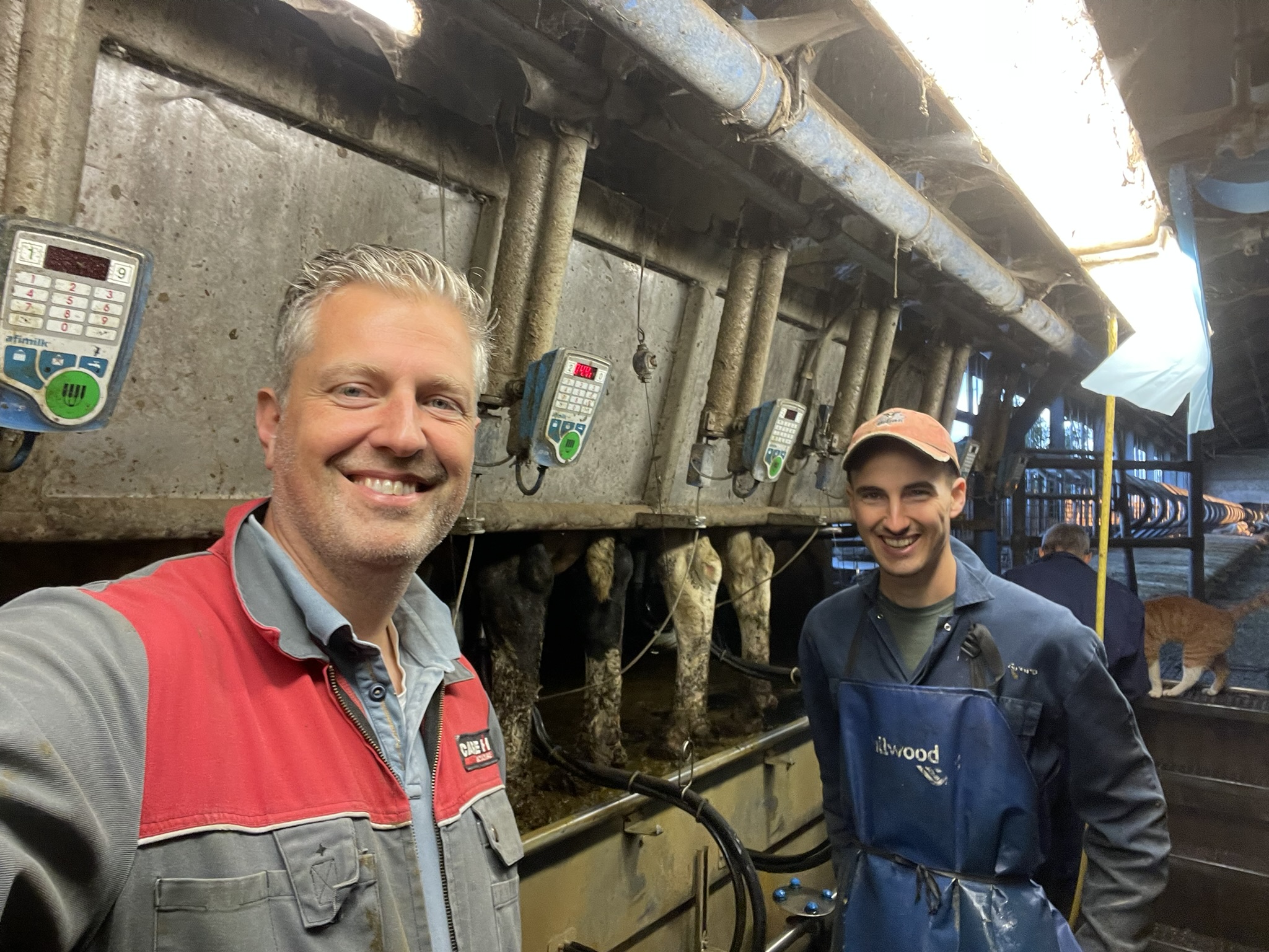 IMG_2466 (1) IMG_2466 (1)